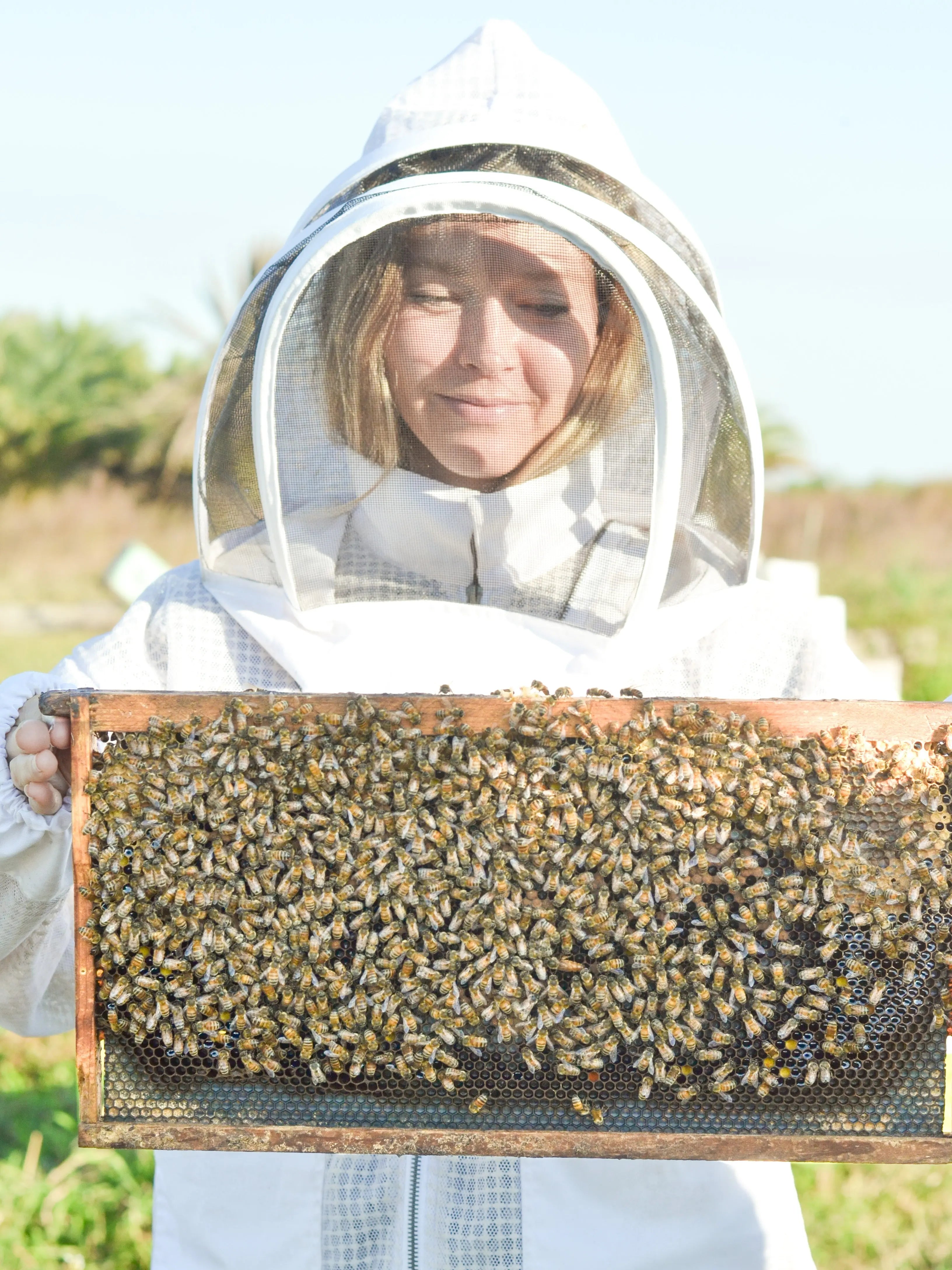 Soft + Gentle Buttermilk Soap Made for Sensitive Skin Fragrance Free Handmade Tallow and Goat Milk Soap Bar Pretty farm girl